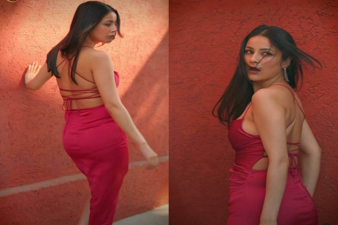 Shehnaaz Gill raises temperature in sexy backless red satin dress