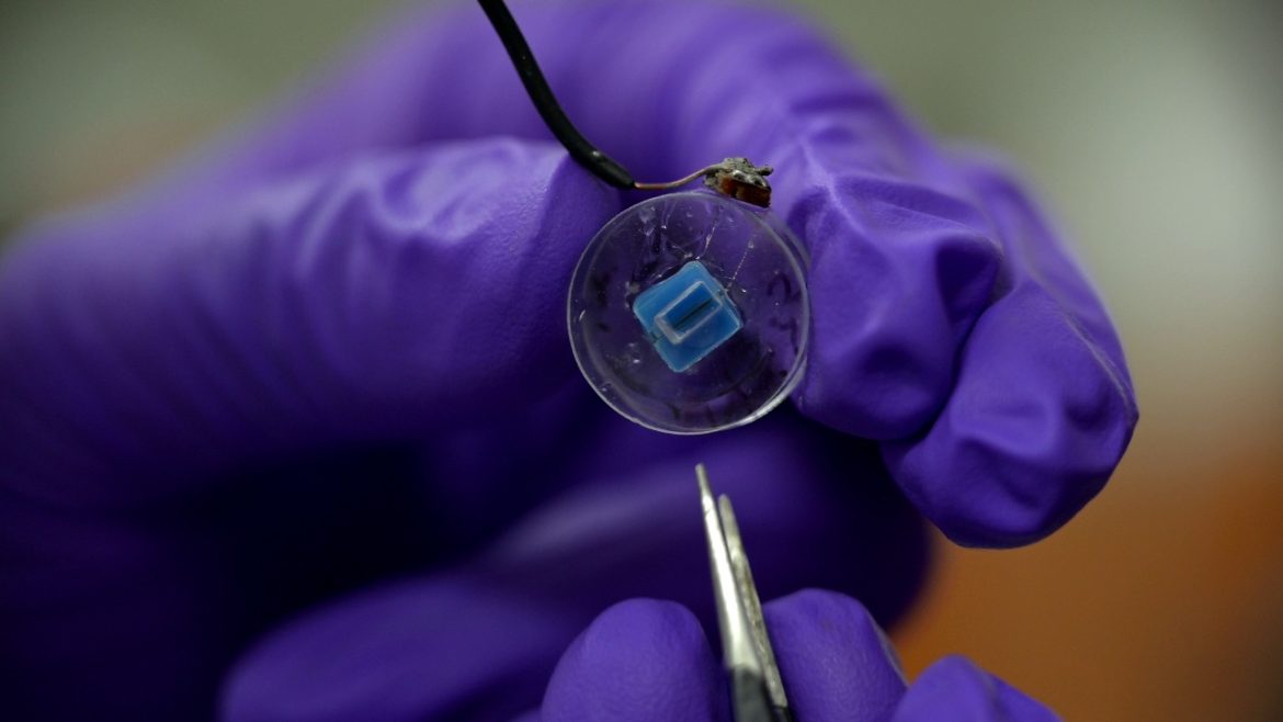 IITGN Researchers Use Clay-Based Nanotech to Redefine Lab-on-a-Chip Technology