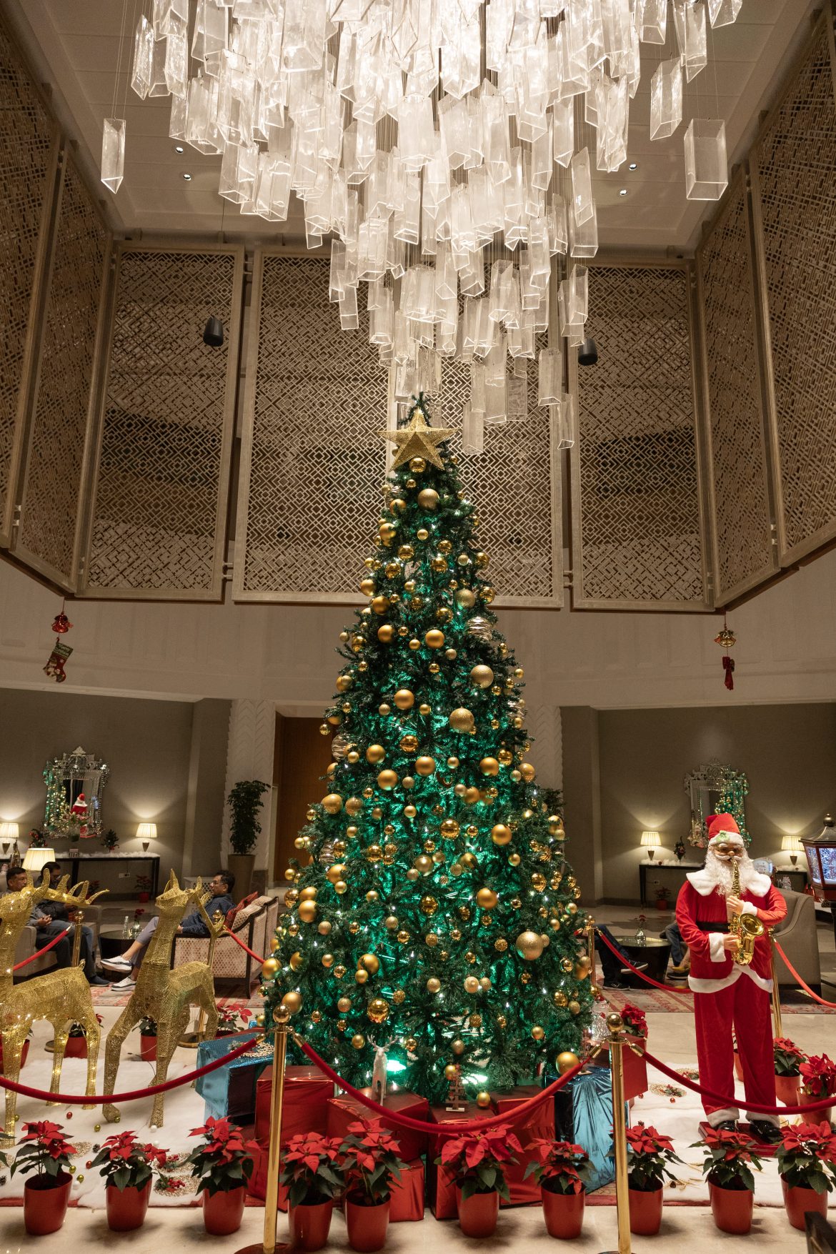 The Leela Gandhinagar Welcomes the Magic of Christmas with a Sparkling Tree Lighting Ceremony