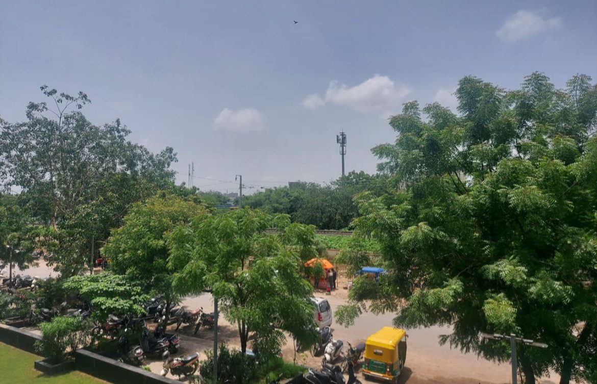 Ahmedabad Counts Over 12 Lakh Trees, Navrangpura Tops Greenery List