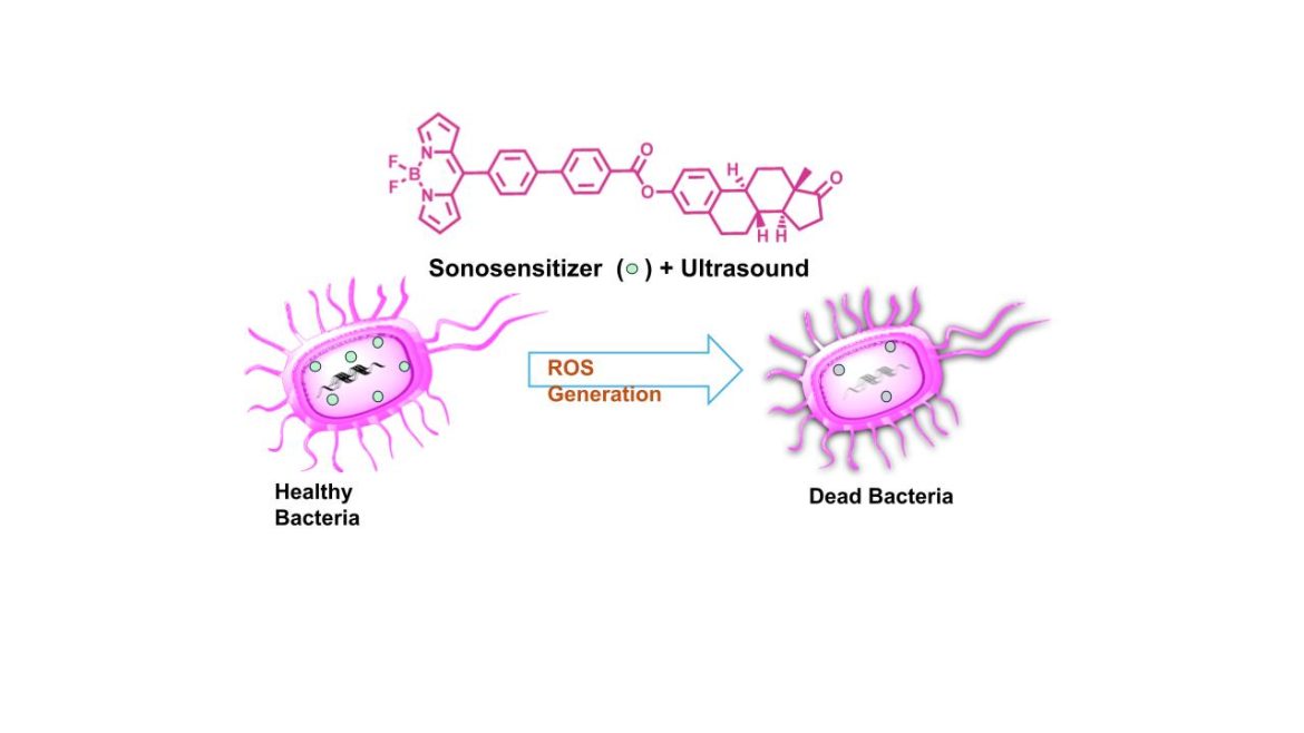 IIT Gandhinagar Researchers Develop Ultrasound-Activated Molecules with the Potential to Kill Antibiotic-Resistant Bacteria