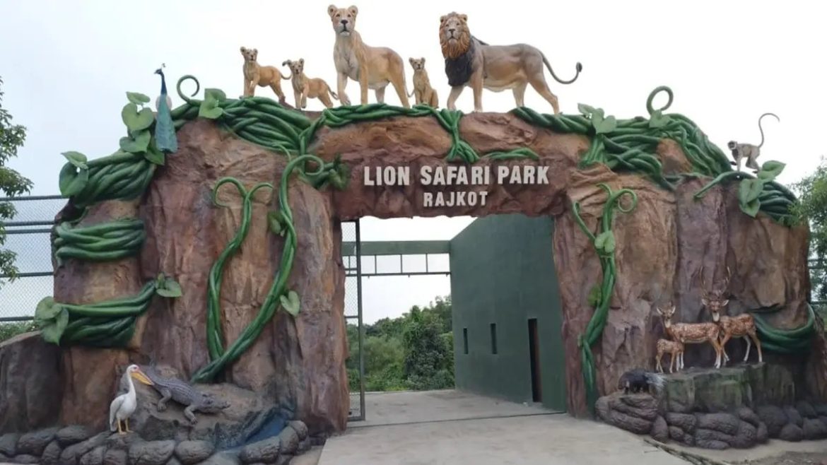 Rajkot Lion Safari Park set for mid-2026 opening as work nears completion