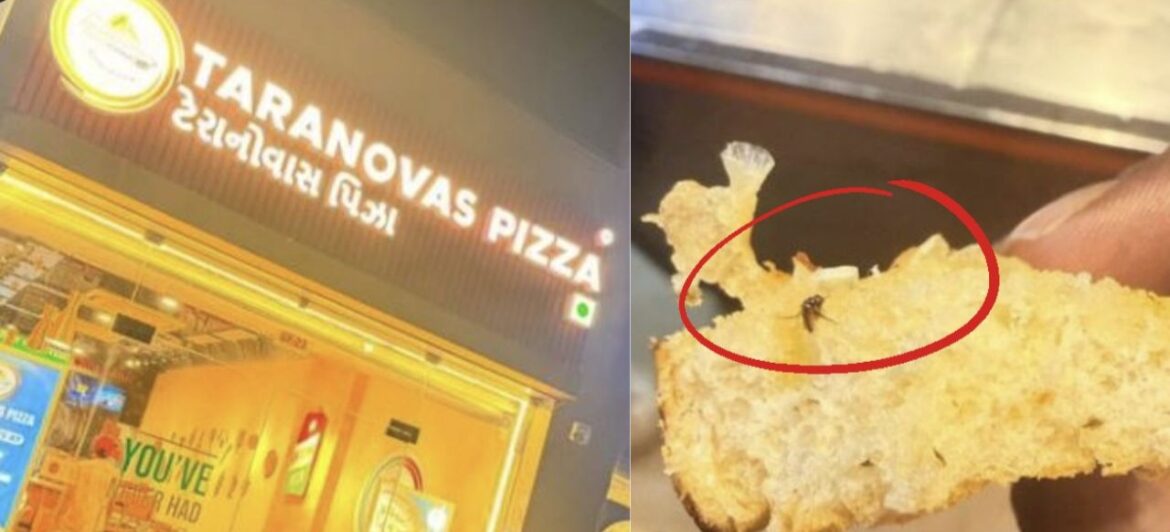 Insect Found in Garlic Bread at Pizza Outlet in Ahmedabad; Customer Files Complaint