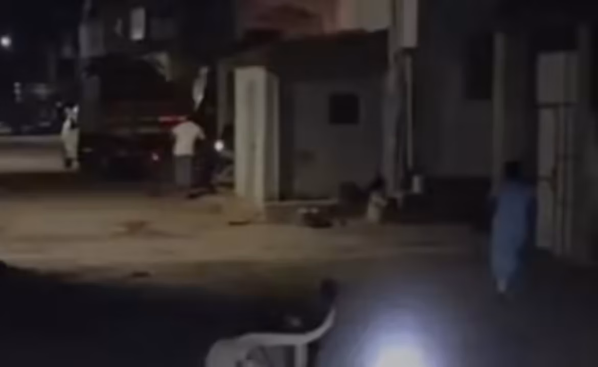 Lion charges at girl after being disturbed by torch lights