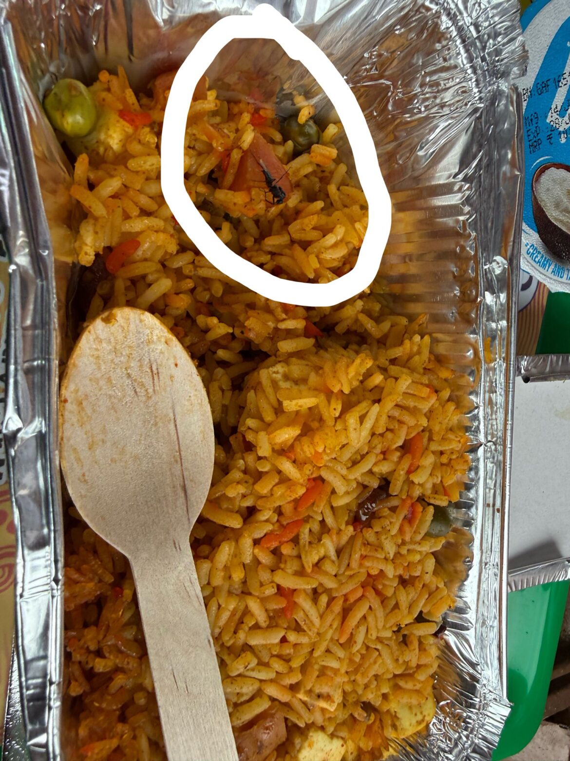 Fly Found in Biryani on Ahmedabad-Mumbai Tejas Express; IRCTC Fines Caterer 1 Lakh