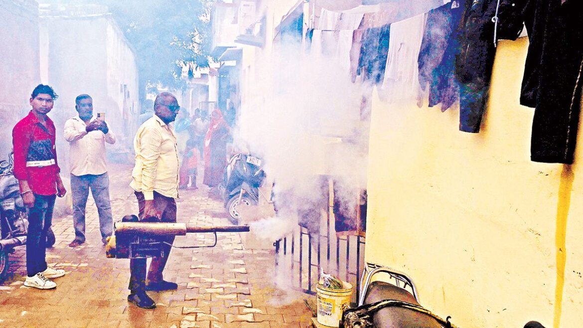 Two children die of Chandipura virus; sand flies found in affected villages