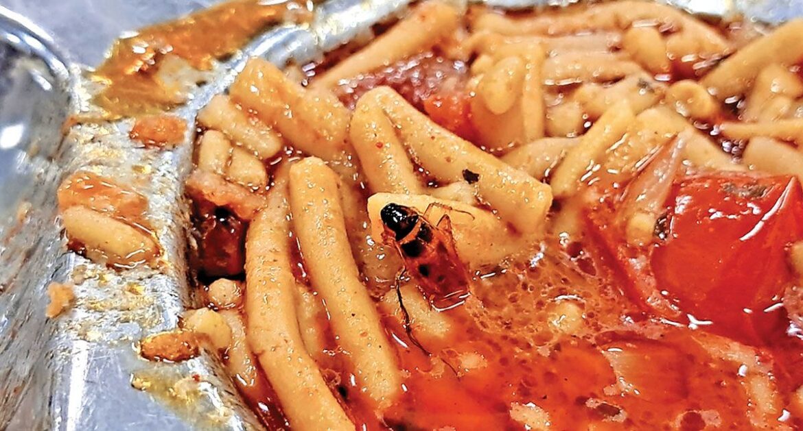 After worms, cockroach allegedly found in Samras hostel food