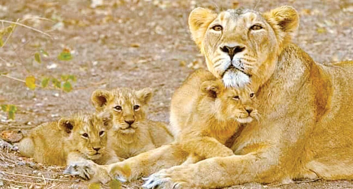 Sanctuaries, national parks to reopen tomorrow