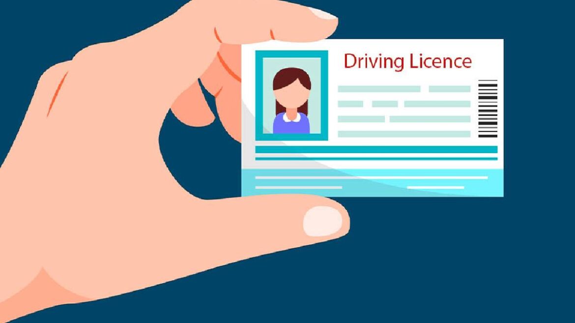 Driving Licences to Feature Different Colours for Citizens, Foreigners